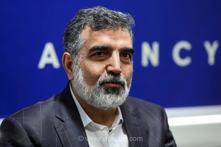 ایران گزینه‌های دفاعی متعددی دارد؛ سخنگوی سازمان انرژی اتمی