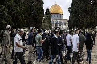 یورش نظامیان و شهرک‌نشینان صهیونیست به صحن‌های مسجدالاقصی؛ نزدیک به ۲۰۰ نفر وارد حریم مقدس شدند