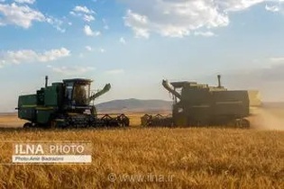 واریز بیش از ۹۰۰ میلیارد تومان به حساب گندمکاران قزوینی؛ رشد خرید تضمینی گندم در استان