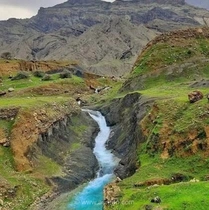 چشمه تووه خوزستان، زیستگاه منحصر به فرد ماهیان کور در جهان