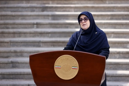 مهاجرانی: کمبود منابع مالی پایدار عامل اصلی تشدید تورم است