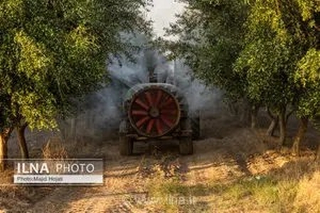 سایه شوم سموم غیر استاندارد بر سر کارگران کشاورزی؛ وقتی سمپاشی باغات به قیمت جان کارگران تمام می‌شود