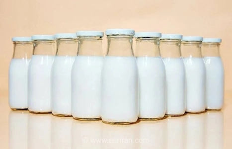 با خیال راحت لبنیات پرچرب بخورید