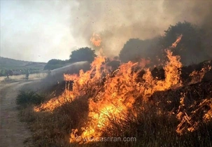 آتش‌سوزی گسترده در کوه دراک شیراز؛ دود غلیظ آسمان شهر را فرا گرفت و نگرانی‌ها را افزایش داد