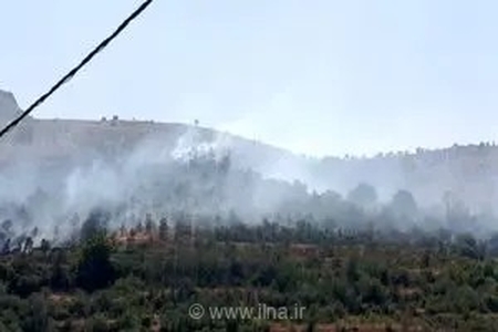آتش‌سوزی 10 هکتار از باغات و مراتع روستای اسبمرد قزوین را نابود کرد
