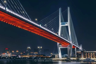 پل نانپو؛ شاهکار مهندسی چین با رمپ دایره‌ای شگفت‌انگیز که ترافیک شانگهای را متحول کرد