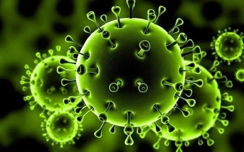 کدام استان‌ها در بالاترین و پایین‌ترین سطح هشدار کرونا قرار دارند؟ (اینفوگرافیک)