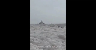 پدیده شگفت‌انگیز در سواحل شیلی؛ بارش برف دریایی در شهر ساحلی واسکو که گردشگران را غافلگیر کرد