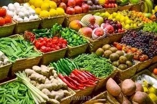 تأکید رئیس جهاد کشاورزی چهارمحال و بختیاری بر تغذیه متعادل گیاهان برای افزایش تولید و کیفیت محصولات