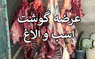 کشف ۲۵۴ کیلوگرم گوشت حیوانات تک‌سمی در جنوب تهران و دستگیری ۵ متهم