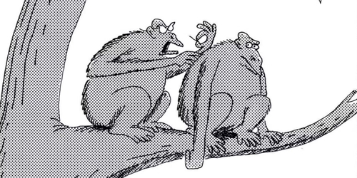 ۱۰ کمیک برتر «Far Side» دهه ۱۹۸۰، رتبه‌بندی شده
