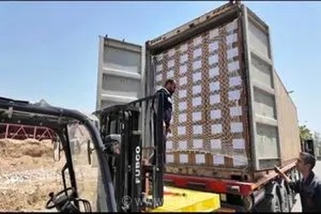 پایان سه ماه چشم‌انتظاری؛ محموله دارویی حیاتی کشتی توسکا با پیگیری هلال‌احمر به کشور بازگشت
