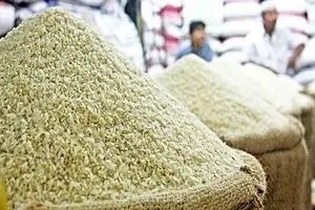 سقوط ۲۵ درصدی قیمت برنج ایرانی در بازار؛ پایان انحصار واردات و ثبات در قیمت کالاهای اساسی