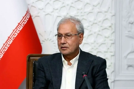 افزایش سرعت سالمندی در ایران؛ هشدار ربیعی