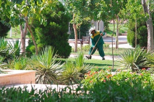 تخلف در پرداخت حقوق کارکنان بوستان‌های تهران؛ گزارش کمیته بودجه شورا