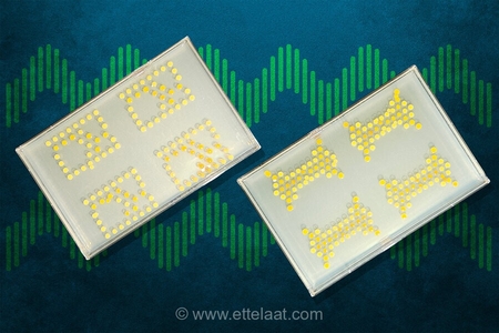محقق ایرانی باکتری را به ترانزیستور تبدیل کرد؛ گامی نو در محاسبات زیستی