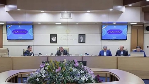 تأکید وزیر بهداشت بر تسهیل ازدواج در سیاست‌های جوانی جمعیت