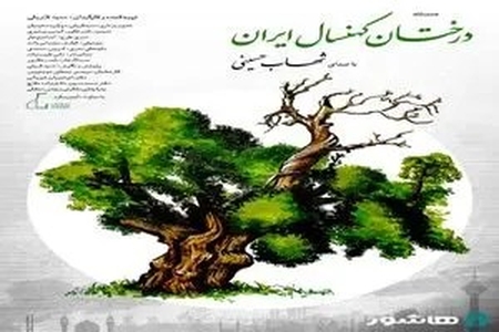 سفر به قلب میراث طبیعی ایران با صدای شهاب حسینی؛ مستند «درختان کهنسال» از فردا آنلاین اکران می‌شود