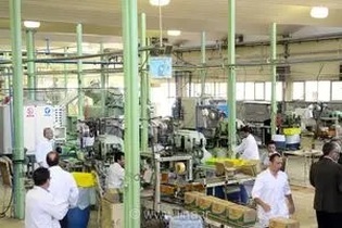 سقوط داروگر؛ از ۱۸۰۰ کارگر تا نگهبانی متخصصان در کارخانه‌ای که دیگر تولید ندارد