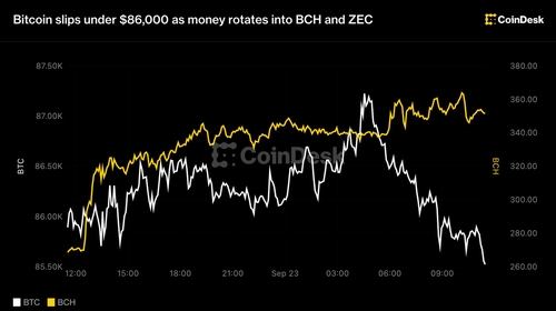 کاهش قیمت بیت‌کوین به زیر ۸۶ هزار دلار همزمان با افزایش تقاضا برای BCH و ZEC