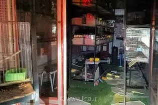 آتش‌سوزی در مغازه پرندگان خمینی‌شهر؛ مرگ ده‌ها پرنده