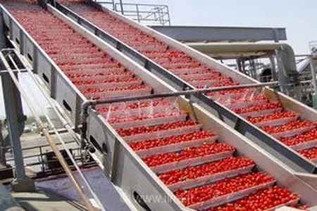 برخی صنایع تبدیلی و تکمیلی قزوین قابلیت برندسازی دارند