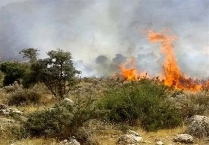 آتش‌سوزی در باغات عنبرآباد مهار شد