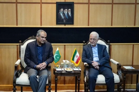 دیدار وزیر کشور پاکستان با همتای ایرانی در تهران