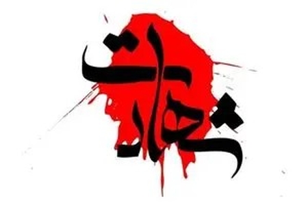3 شهید و 8 مصدوم دستاورد حملات دشمن آمریکایی به استان