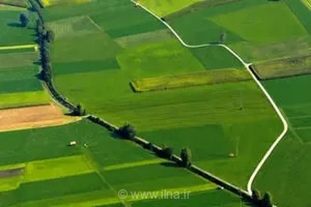 تعیین تکلیف ۳۳ پرونده اصلاحات ارضی در فارس؛ ۱۴ پرونده به مرحله صدور رأی نهایی رسید