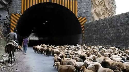 انسداد موقت محور کندوان برای جابه‌جایی احشام در مهرماه