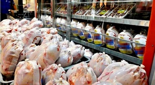 توزیع گسترده مرغ در مازندران و ارسال ۳۹۰ تن به تهران