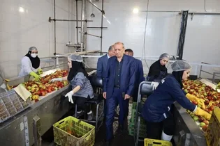 رئیس جهاد کشاورزی آذربایجان‌شرقی: جلوگیری از ضایعات سیب باغداران ضروری است