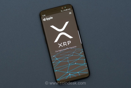 دفتر کل XRP با وجود کاهش تعداد حساب‌های فعال، شاهد افزایش حجم معاملات و ارزش بیشتر است