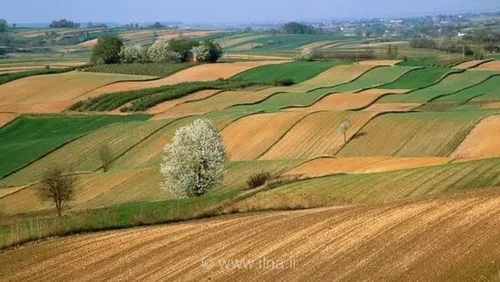 شناسایی و جلوگیری از تغییر کاربری غیرمجاز ۱۵ هزار مترمربع زمین کشاورزی در فارس