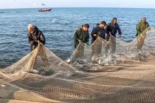 افزایش صید آبزیان در جنوب ایران با فعالیت در آب‌های دوردست اقیانوس هند