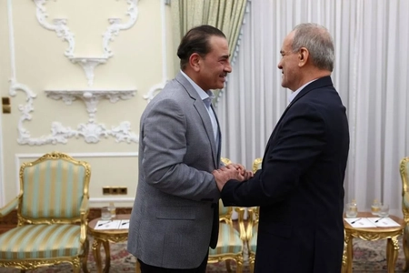 دیدار فرمانده ارتش پاکستان با رئیس جمهور ایران