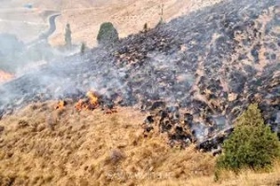 مهار آتش‌سوزی در ارتفاعات کازرون و کوهمره سرخی شیراز