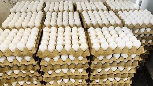 قیمت تخم‌مرغ در تهران به بالاترین سطح رسید