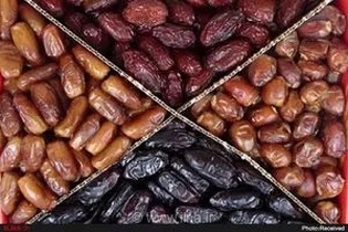 رفع محدودیت صادرات خرما، ماهی و گوجه‌فرنگی؛ پیگیری مجوز صادرات ۳۰۰ هزار تن ذرت مازاد خوزستان