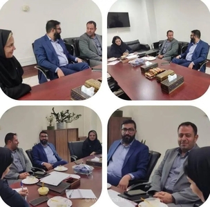 نشست بیمه دی و شرکت توزیع برق تهران برای رفع چالش‌های وصول مطالبات