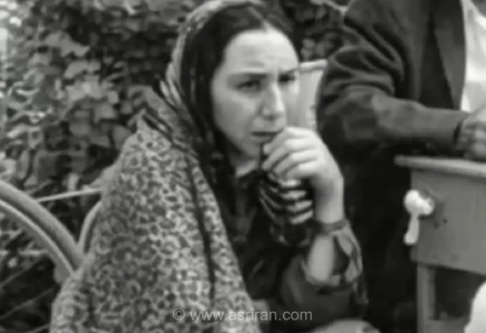 سفر به شیراز سال ۱۳۴۸؛ تصویری نوستالژیک از بساط عریضه‌نویس‌ها در مقابل دادگستری