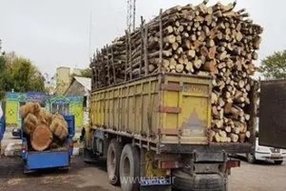 هشدار به بهره‌برداران استان مرکزی: توقیف خودروهای حامل چوب در صورت عدم دریافت مجوز الکترونیکی