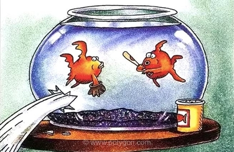 هفت کمیک برتر «Far Side» بدون کلام