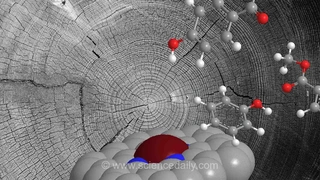 کاتالیزور اتمی، ارزش پنهان ضایعات گیاهی را آشکار می‌کند