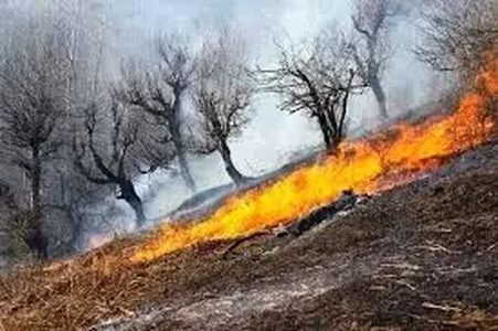 با عاملان آتش‌سوزی‌های عمدی بدون ارفاق برخورد می‌شود