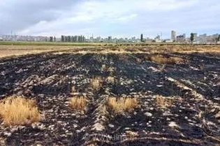هشدار جدی جهاد کشاورزی اردبیل: سوزاندن بقایای گیاهی پس از برداشت محصول ممنوع و زیان‌بار است