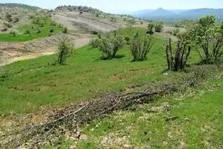 بازپس‌گیری ۱۸۸ هکتار از اراضی ملی گلستان؛ تشکیل ۳۳۱ پرونده قضایی برای متخلفان و متصرفان عرصه‌های طبیعی