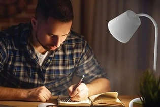 آیا خواندن کتاب ساختار مغز انسان را تغییر می‌دهد؟ نگاهی به تکامل مغز در عصر مطالعه