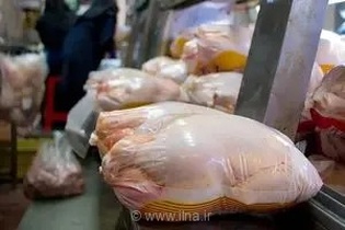 ذخیره‌سازی یک‌هزار و ۴۵ تن مرغ تولیدی آذربایجان شرقی